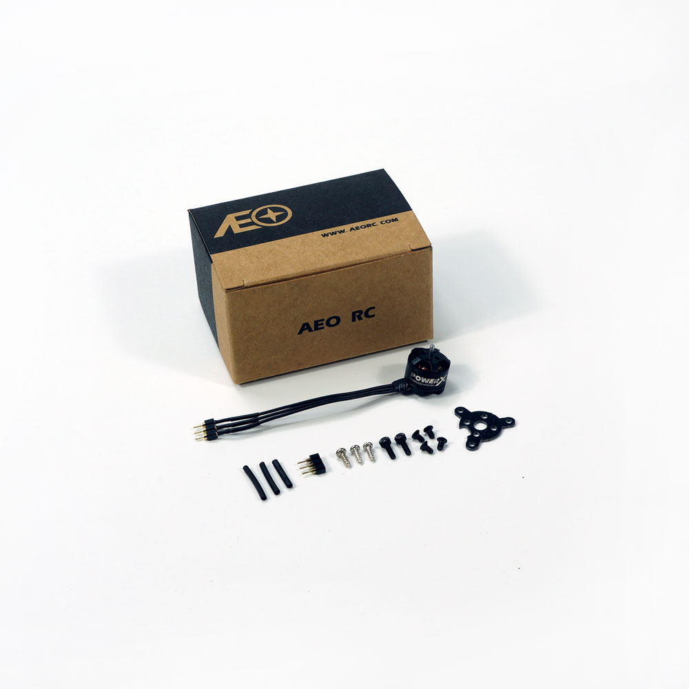Mini Micro MC1106 3800KV Bürst – Rc Plane Hobby Zone Bewertung und Preis