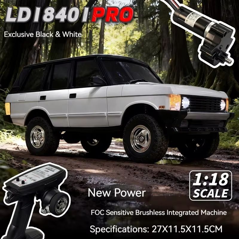 Neues 1:18 LDR/C LD18401pro Si – Rc Hobby Grade Cars Bewertung und Preis